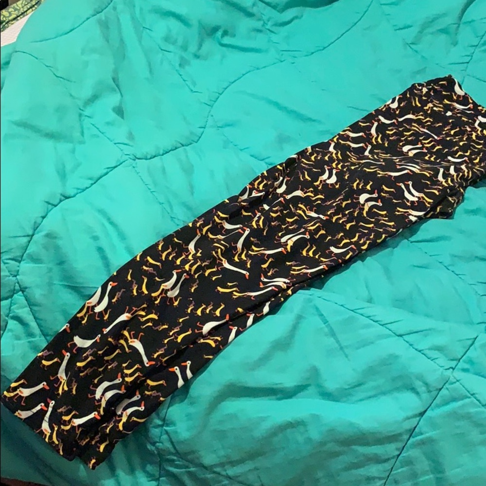Lularoe leggings